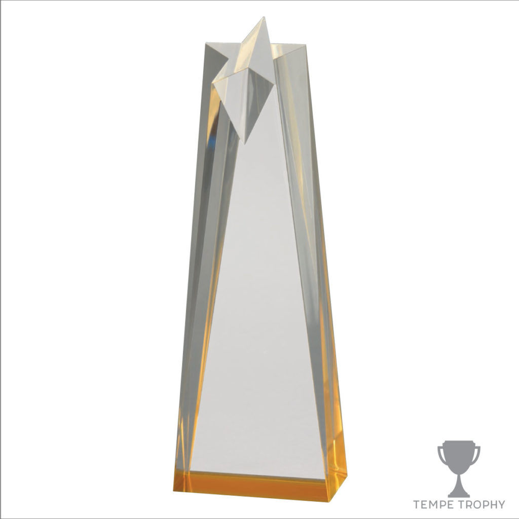 Shooting Star Award - Image 2