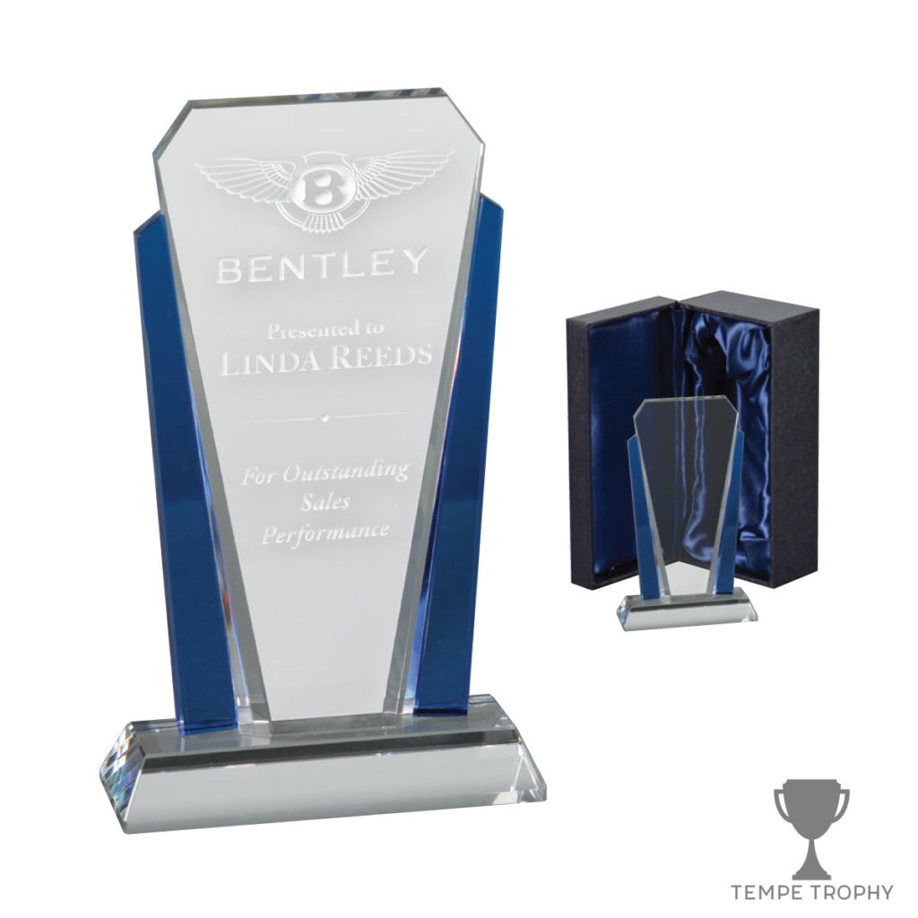 Blue Bethesda Crystal Award
